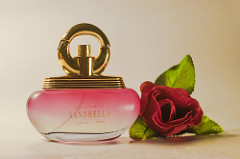 Legjobb női parfümök